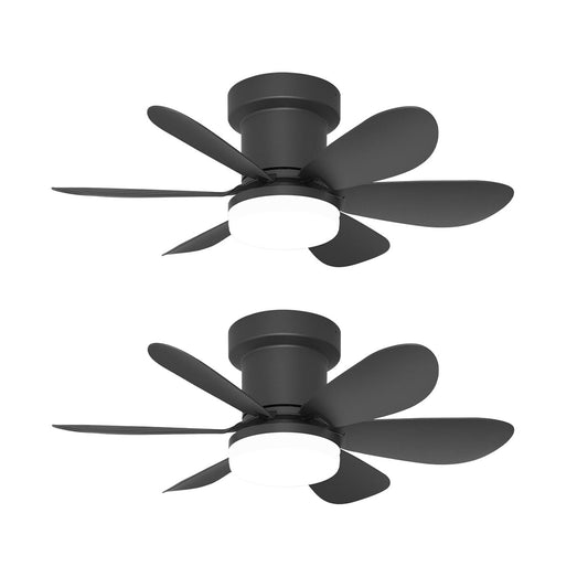 2x MISTRAL BLACK