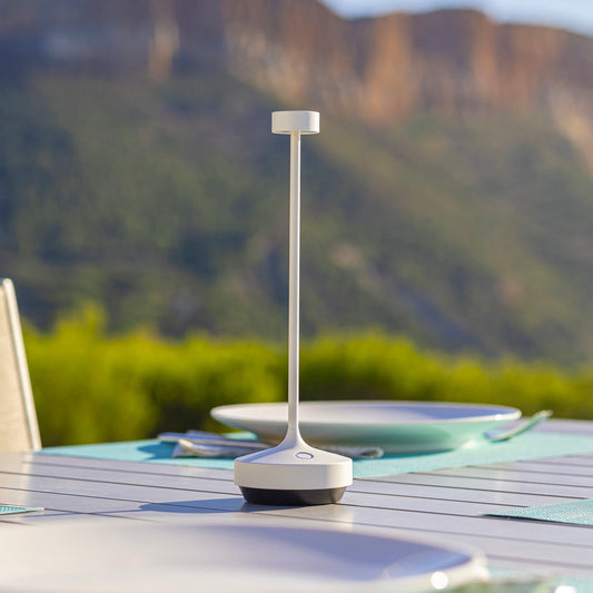 6x RUBY WHITE + PLATEAU DE CHARGEMENT