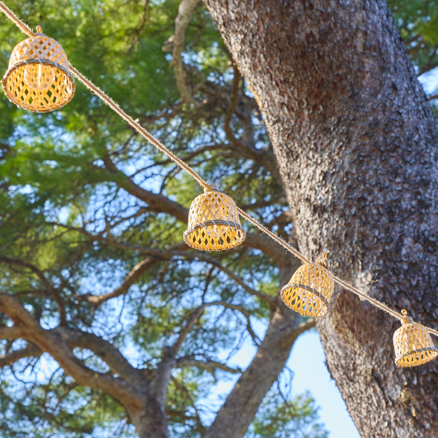 2x MALY LIGHT HYBRID