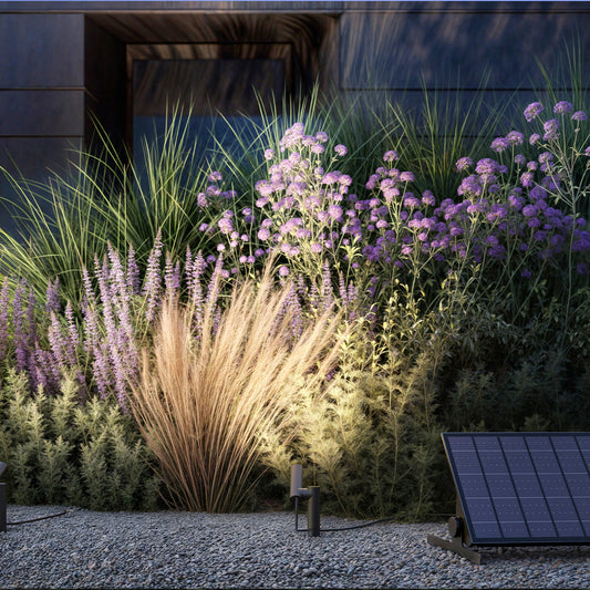 AXENT (wird mit ELEKTRON verbunden)