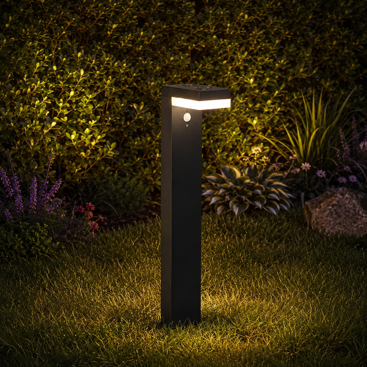 CENOVA TALL 50