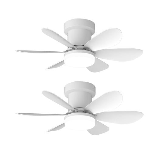 2x MISTRAL WHITE