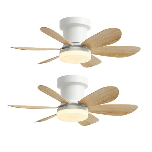 2x MISTRAL WOOD