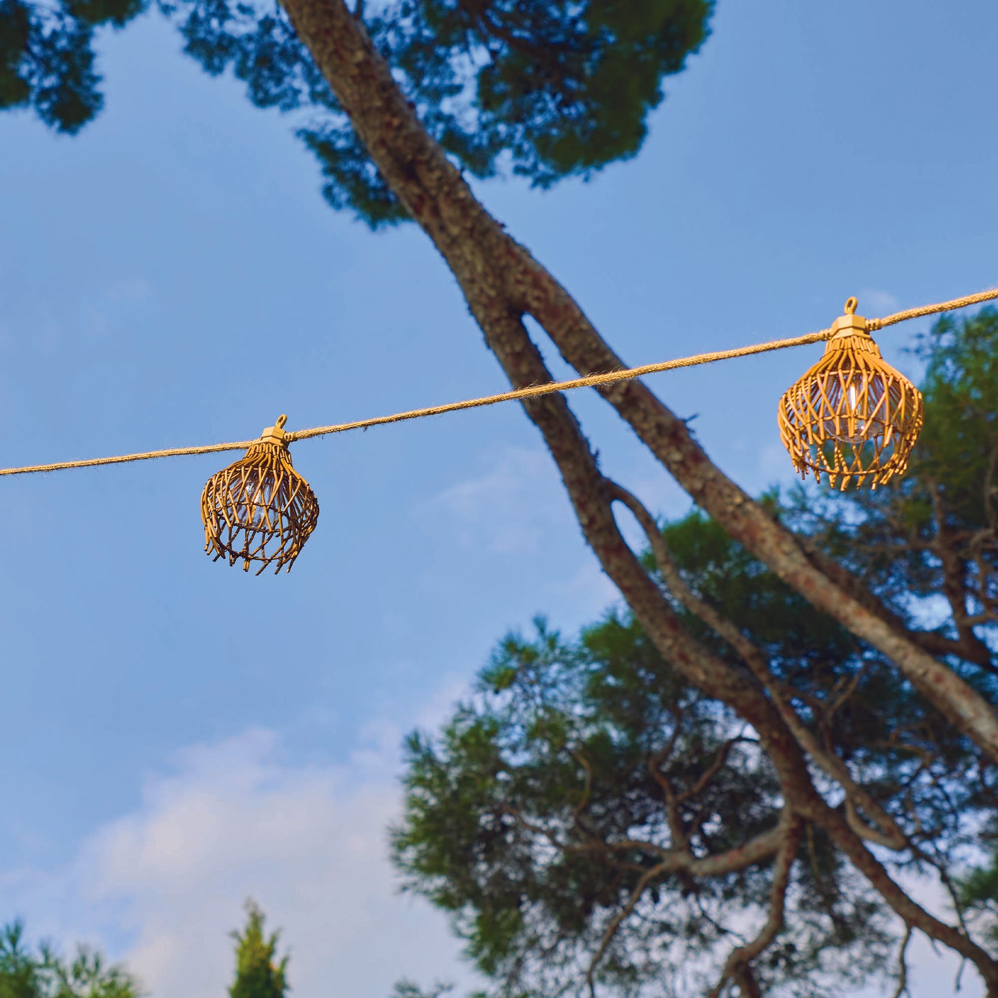 ROTILIA LIGHT HYBRID 