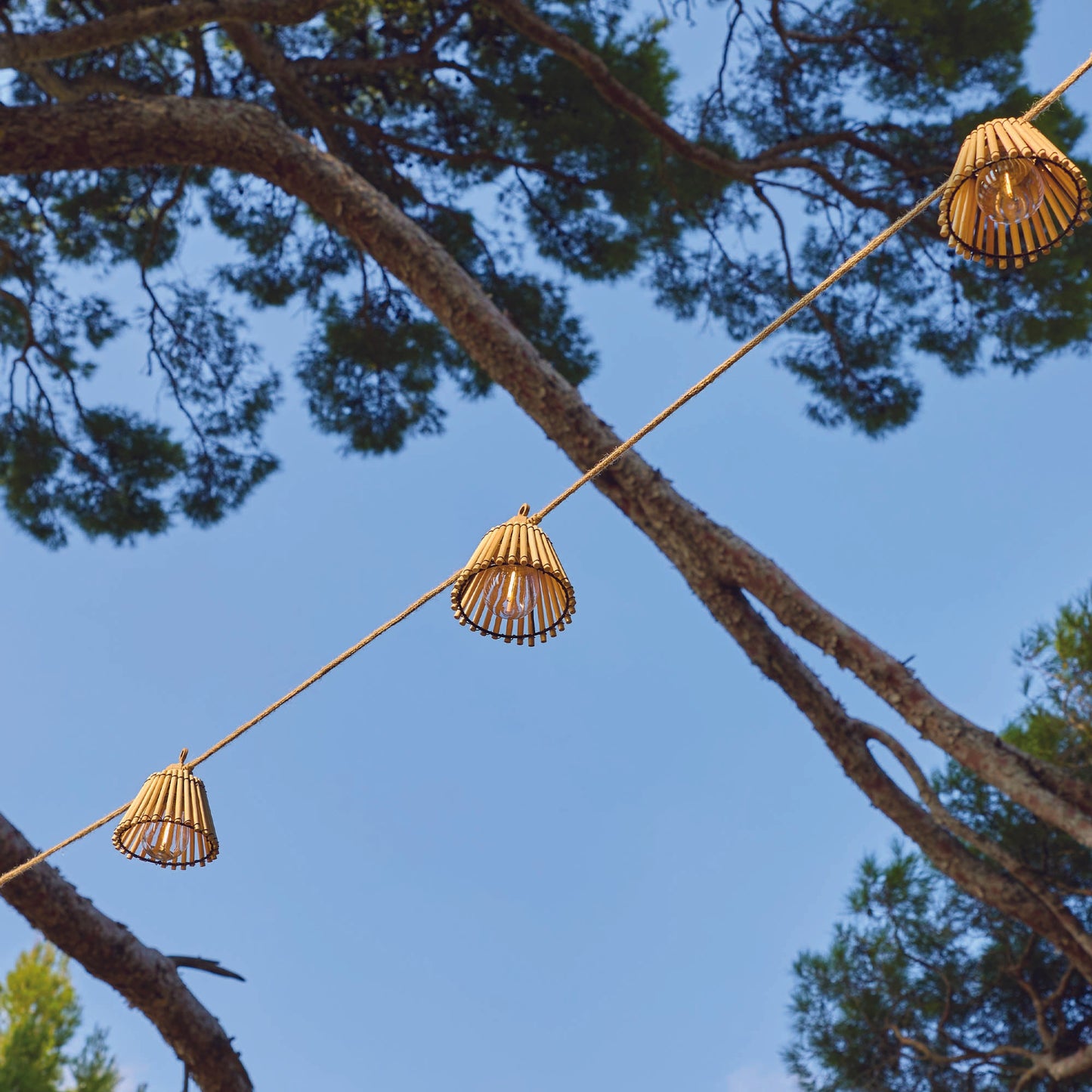 2x NATURA LIGHT HYBRID