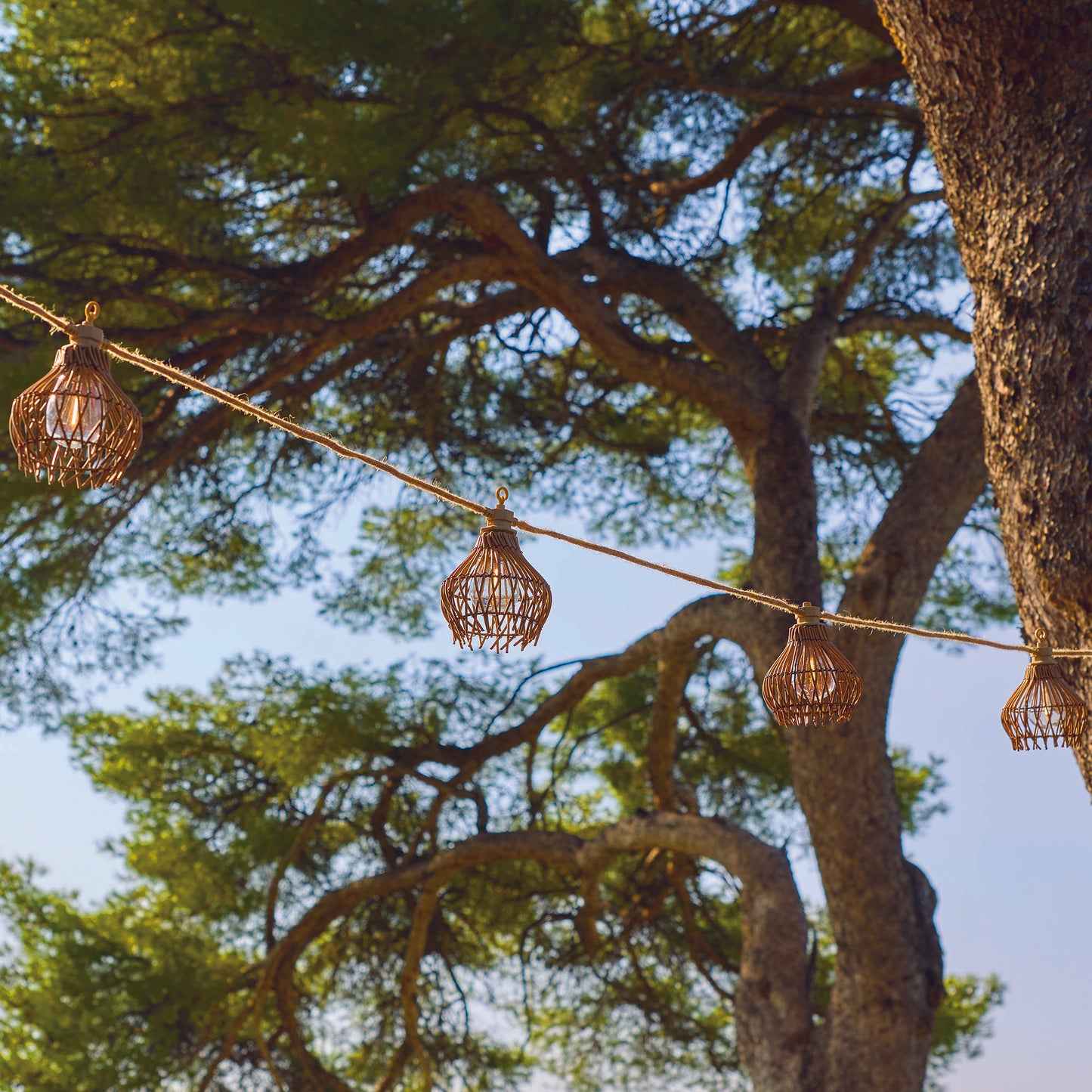 ROTILIA LIGHT HYBRID 