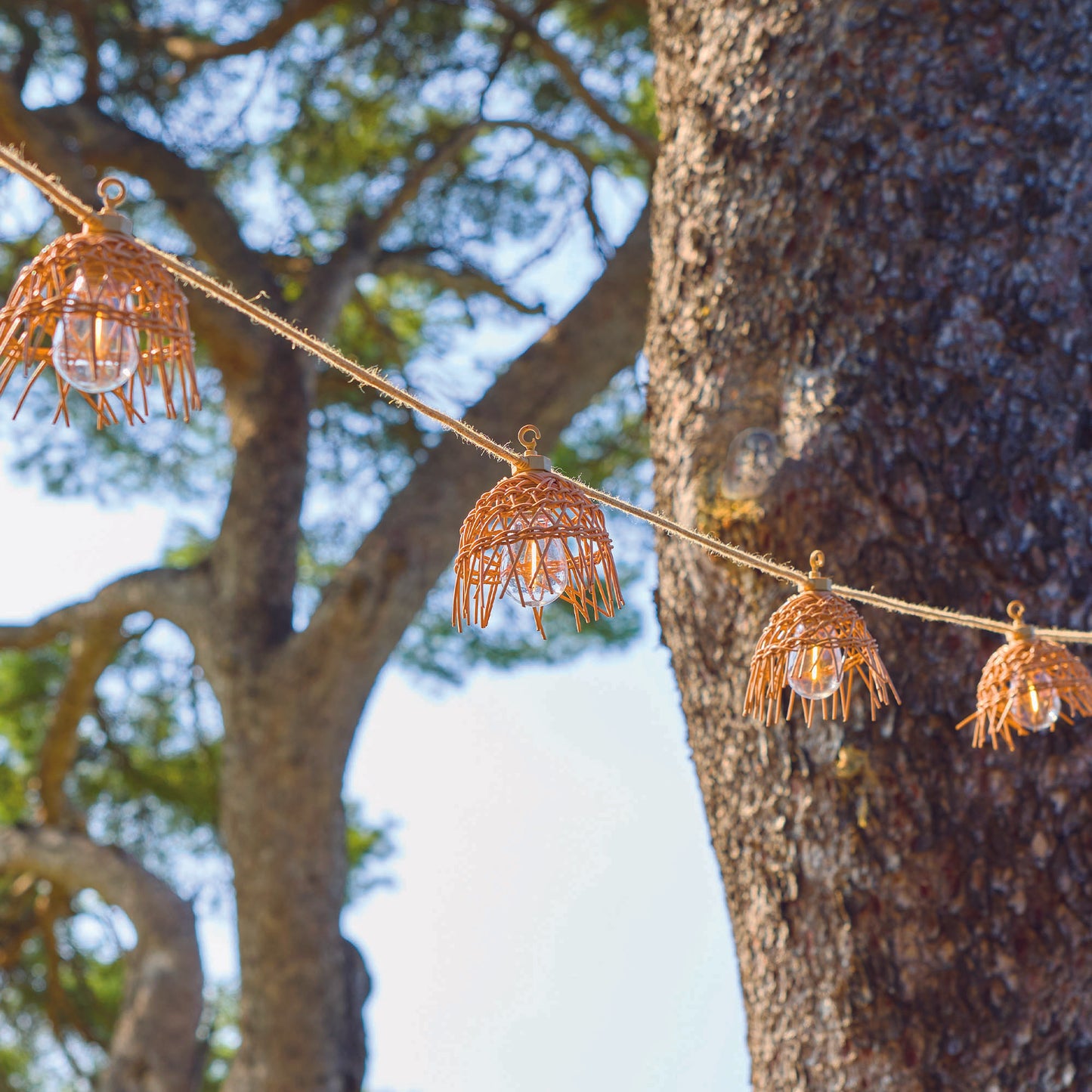 MINI HAWAI LIGHT HYBRID