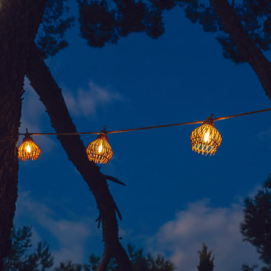 ROTILIA LIGHT HYBRID 