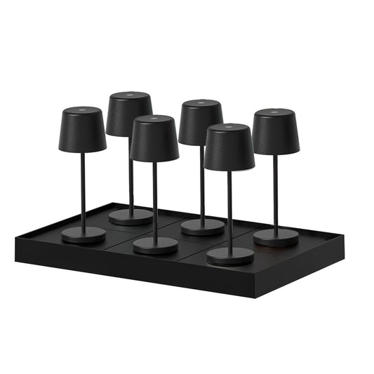 6X KELLY MINI BLACK + PLATEAU DE CHARGEMENT