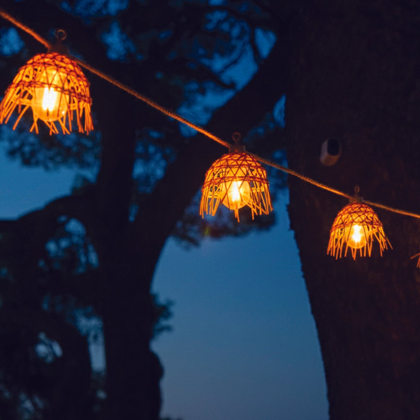 2x MINI HAWAI LIGHT HYBRID