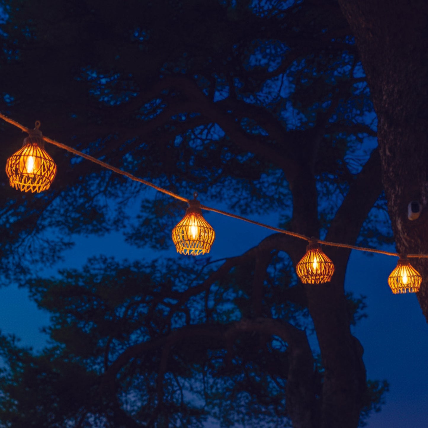 ROTILIA LIGHT HYBRID 