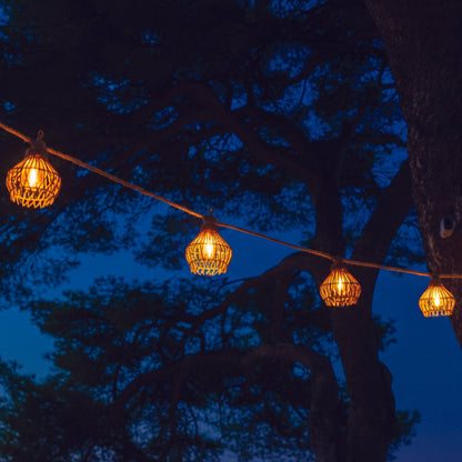 ROTILIA LIGHT HYBRID 