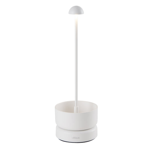 BASKET WHITE