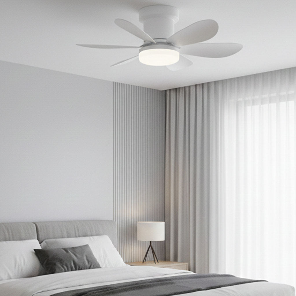 MISTRAL WHITE