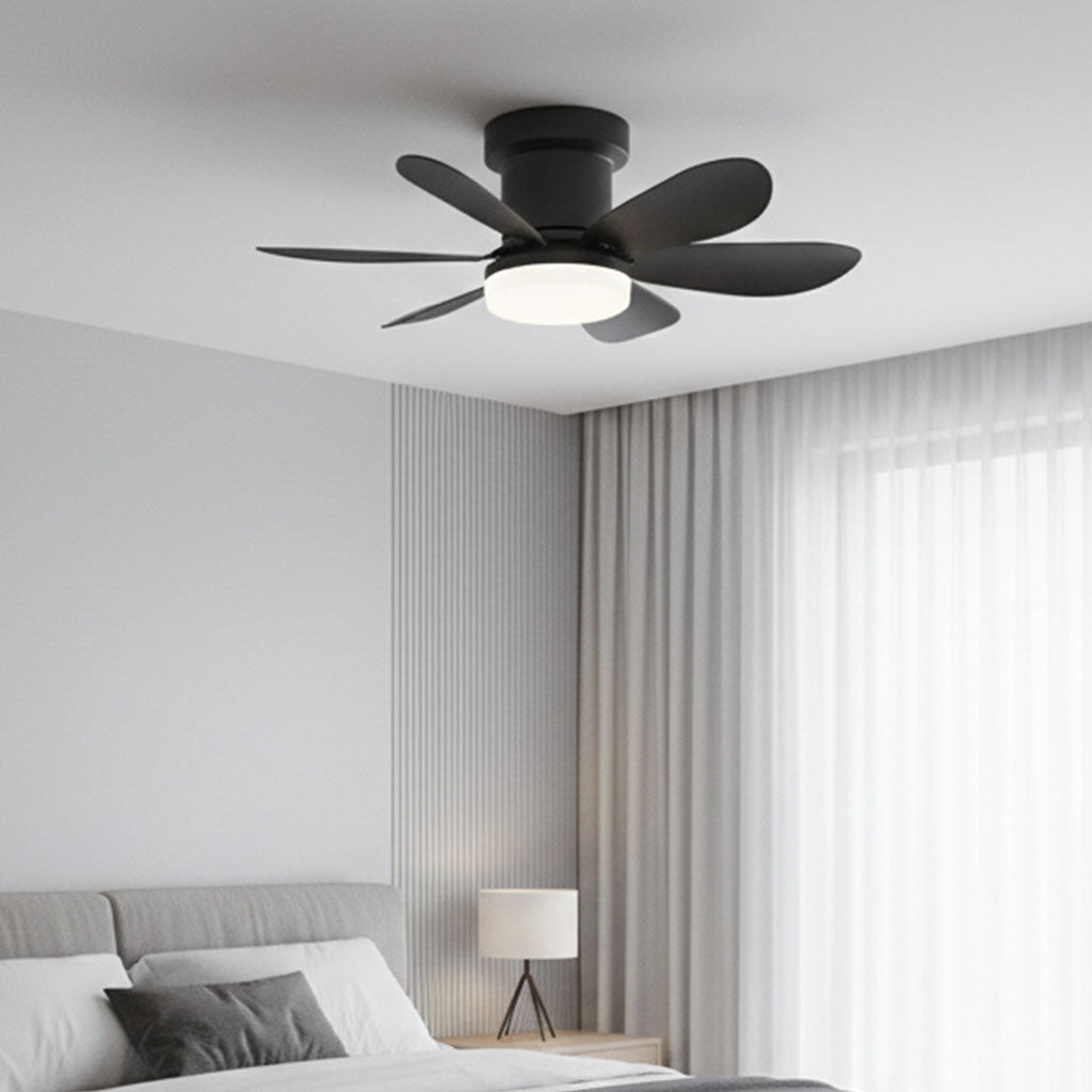 MISTRAL BLACK