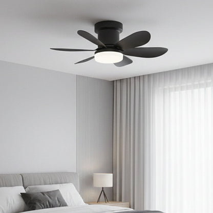 MISTRAL BLACK
