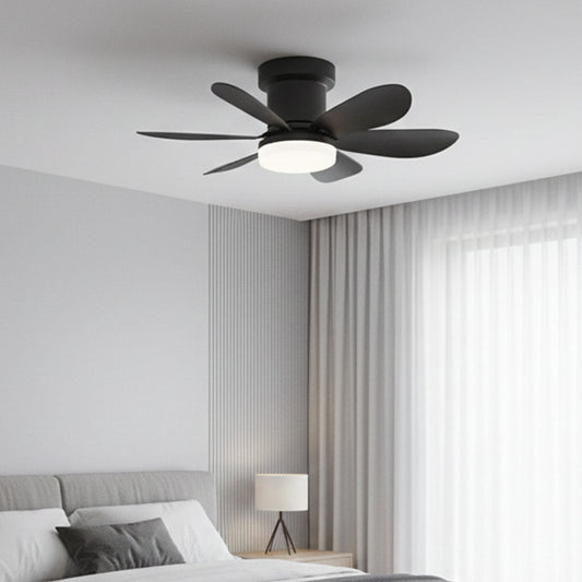 MISTRAL BLACK