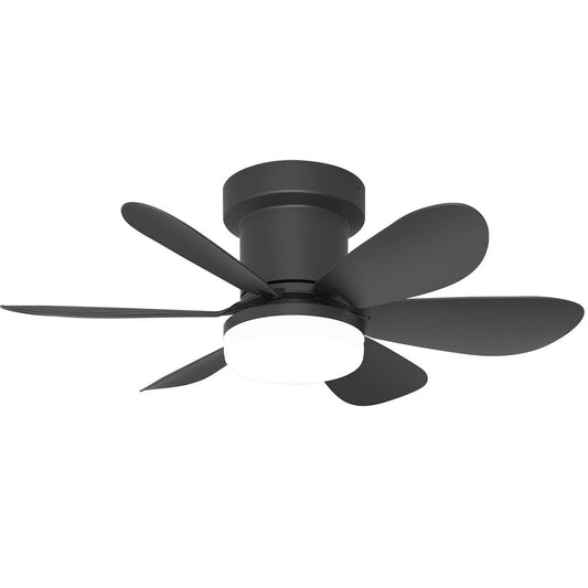 MISTRAL BLACK