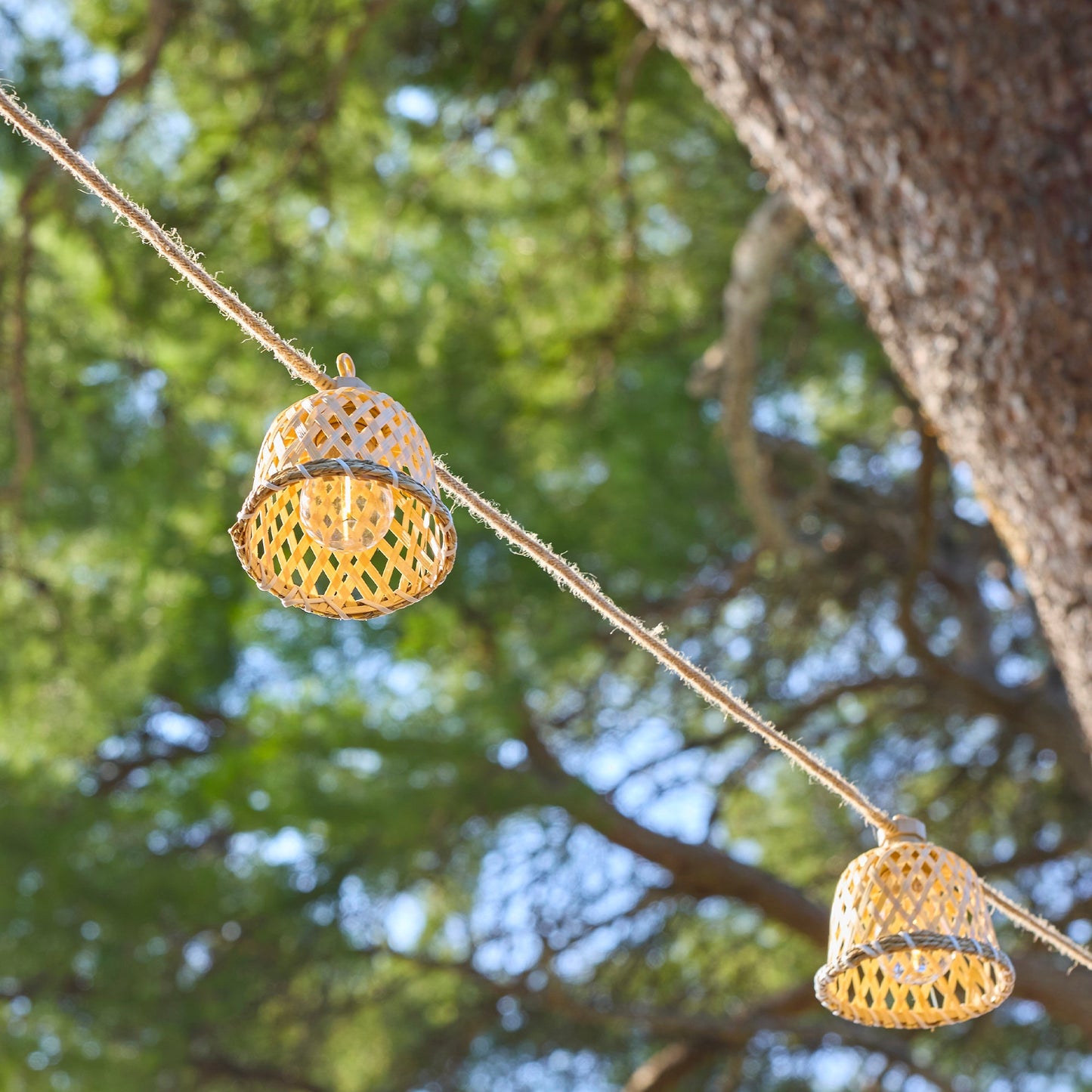 2x MALY LIGHT HYBRID