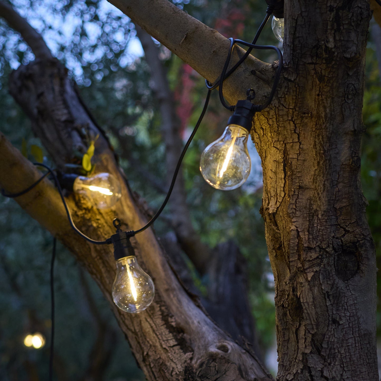 2x PARTY CLEAR HYBRID